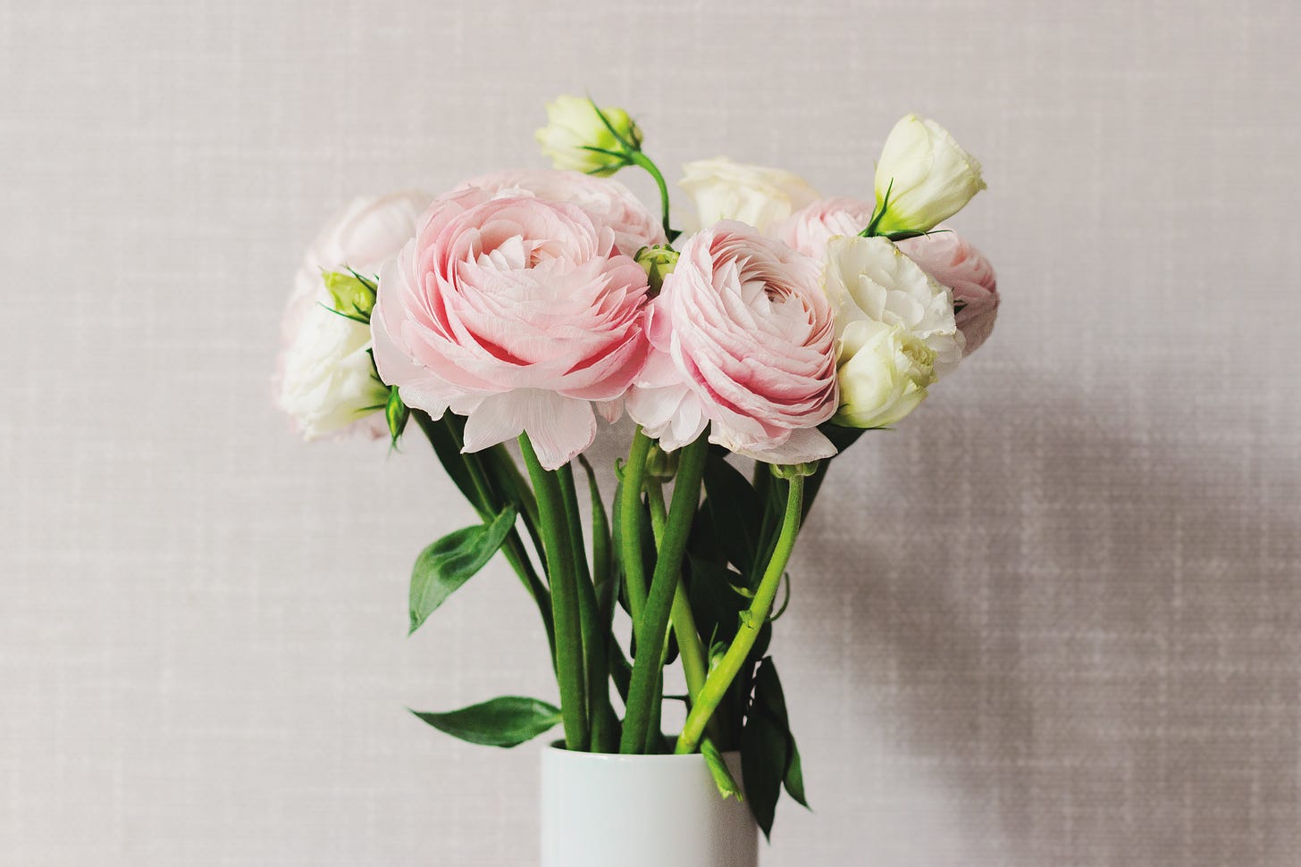 A lovely photo of pale pink and ivory roses that are beautiful, but no substitute for paid leave.