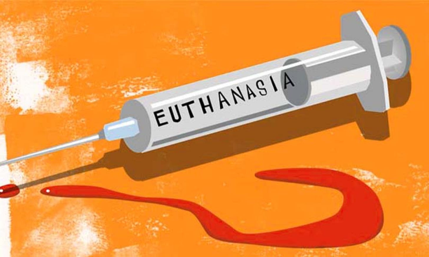 Euthanasia, Doctrine Of Double Effect And The Growing Need For Effective  Palliative Care