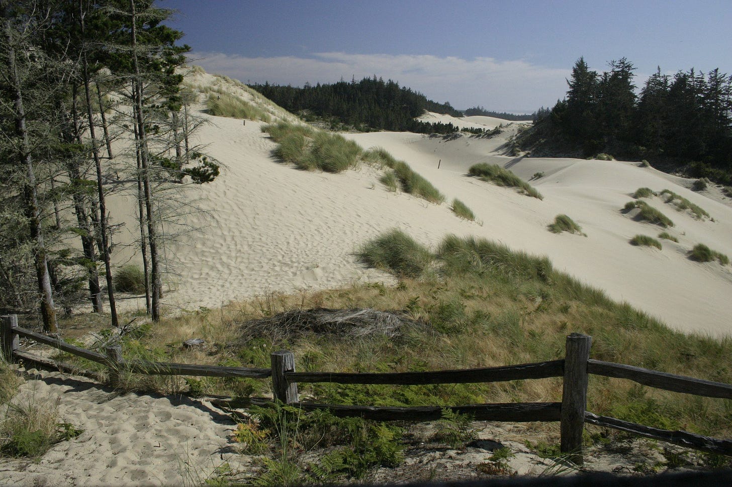 Sand dunes at Florence Oregon | Oregon dunes, Florence oregon, Recreation area