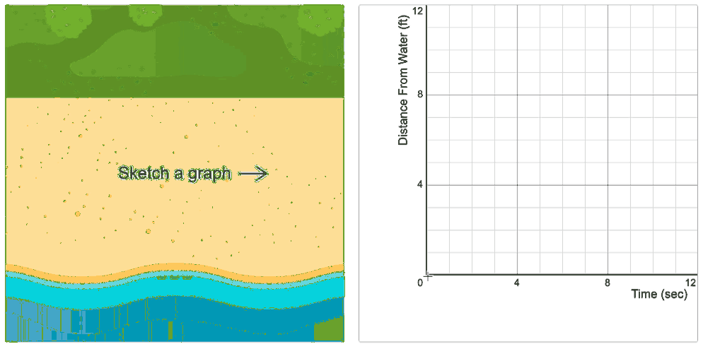 The turtle responding to a function.