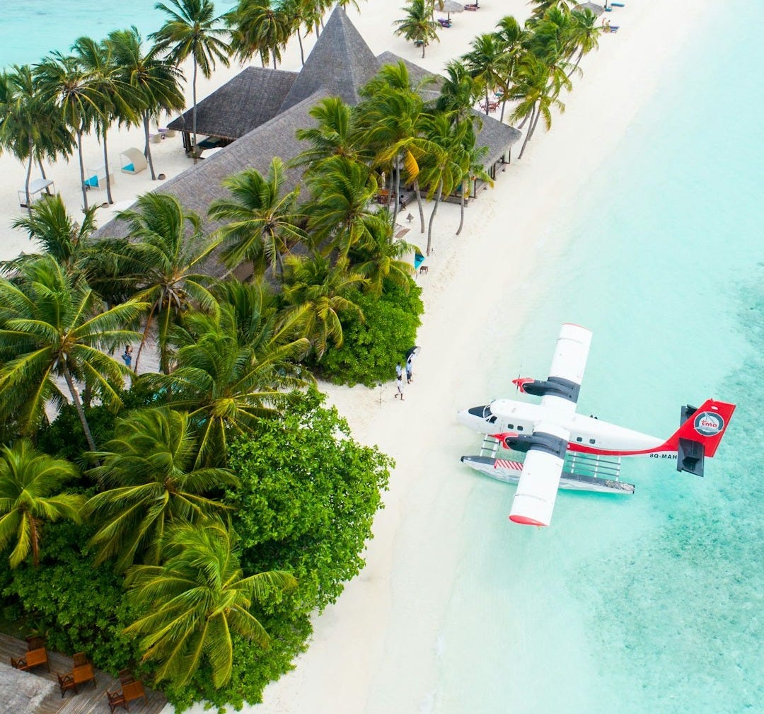 plane parked beside the trees on seashore plane parked beside the trees on seashore