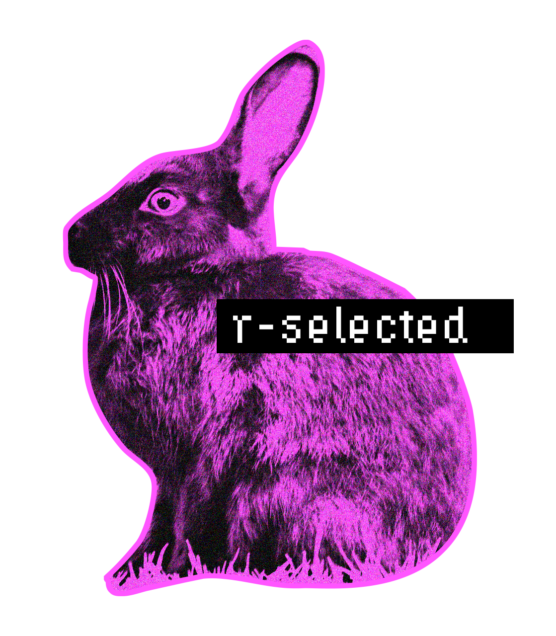 r-selected.png