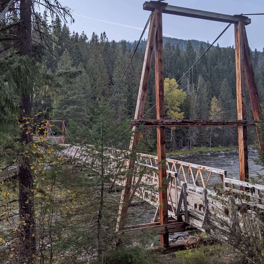 a wooden footbridge over a river in a pine forest