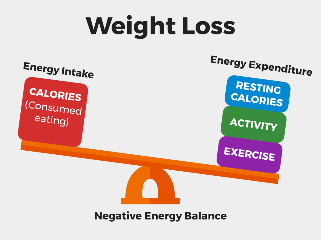 How Changing Your Energy Balance Can Help You Lose Weight - Fitness Articles