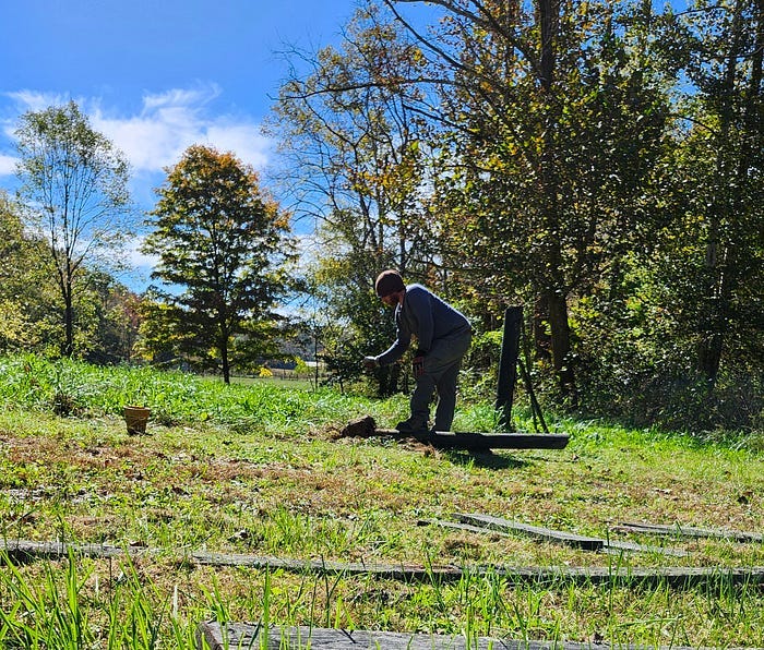 My husband takes on the task of ripping down fence in order to restore it anew. Lush Kentucky land frames the scene — meadows and Walnut trees.