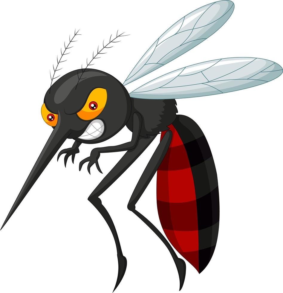 Mosquito Cartoon Vector Art, Icons, and Graphics for Free Download