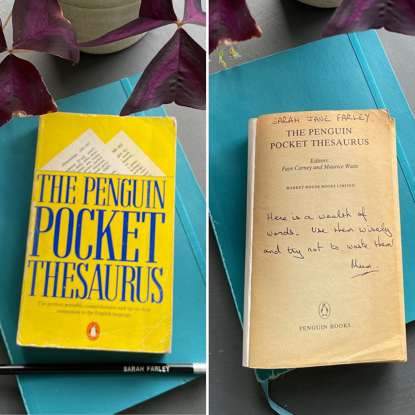 Two images: the yellow front cover of The Penguin Pocket Thesaurus and the inside page with a dedication 'Here is a wealth of words. Use them wisely and try not to waste them!