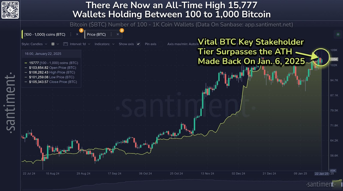 100-1K BTCを保有するウォレット