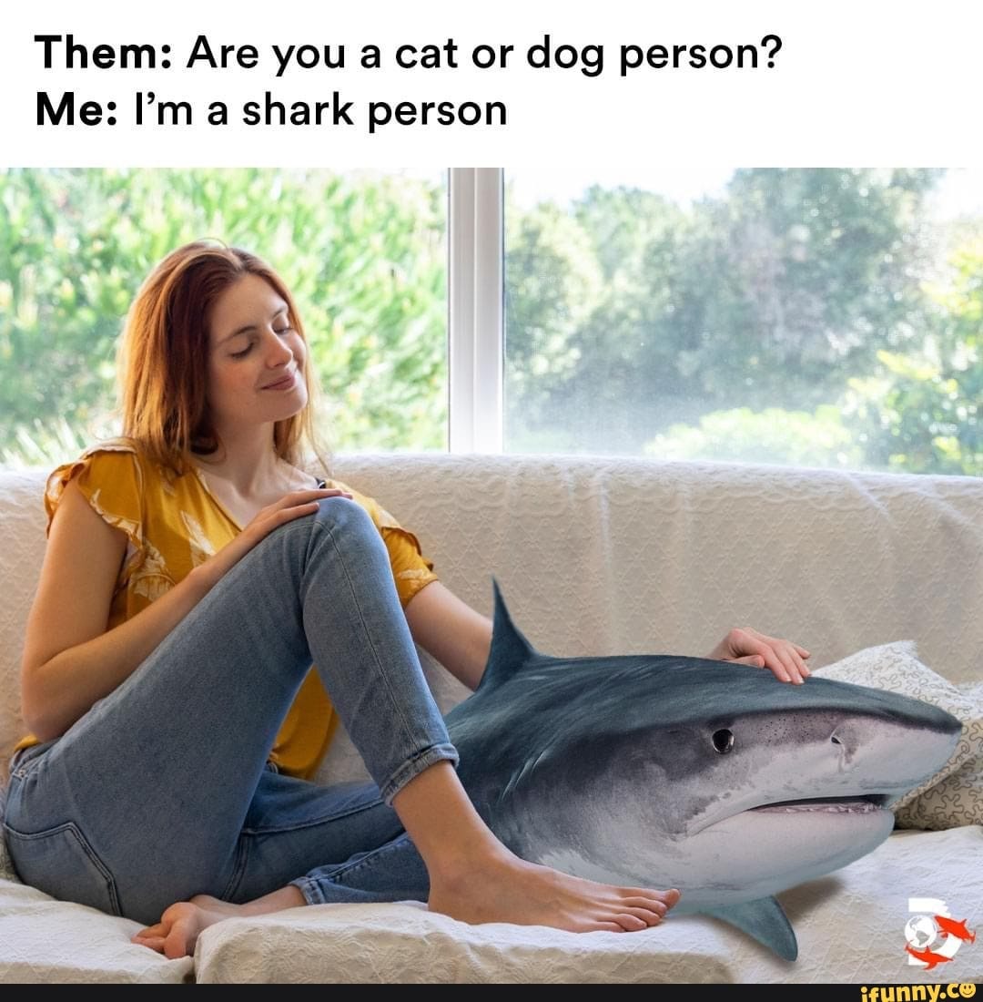 Them: Are you a cat or dog person? Me: I'm a shark person - iFunny Brazil