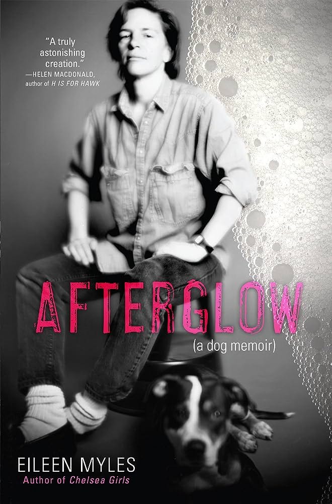 Afterglow (a dog memoir): Myles, Eileen, Myles, Eileen: 9780802127099:  Amazon.com: Books