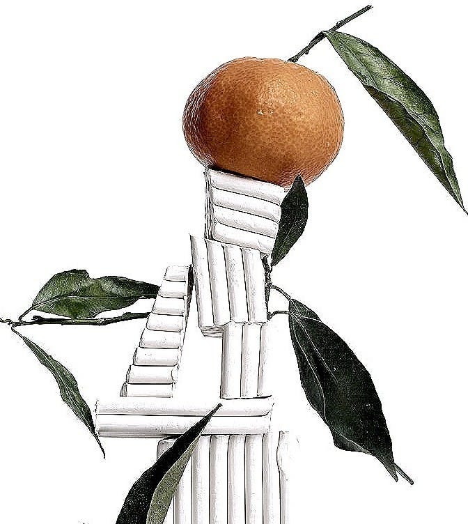 orange fruit on balancing fragments