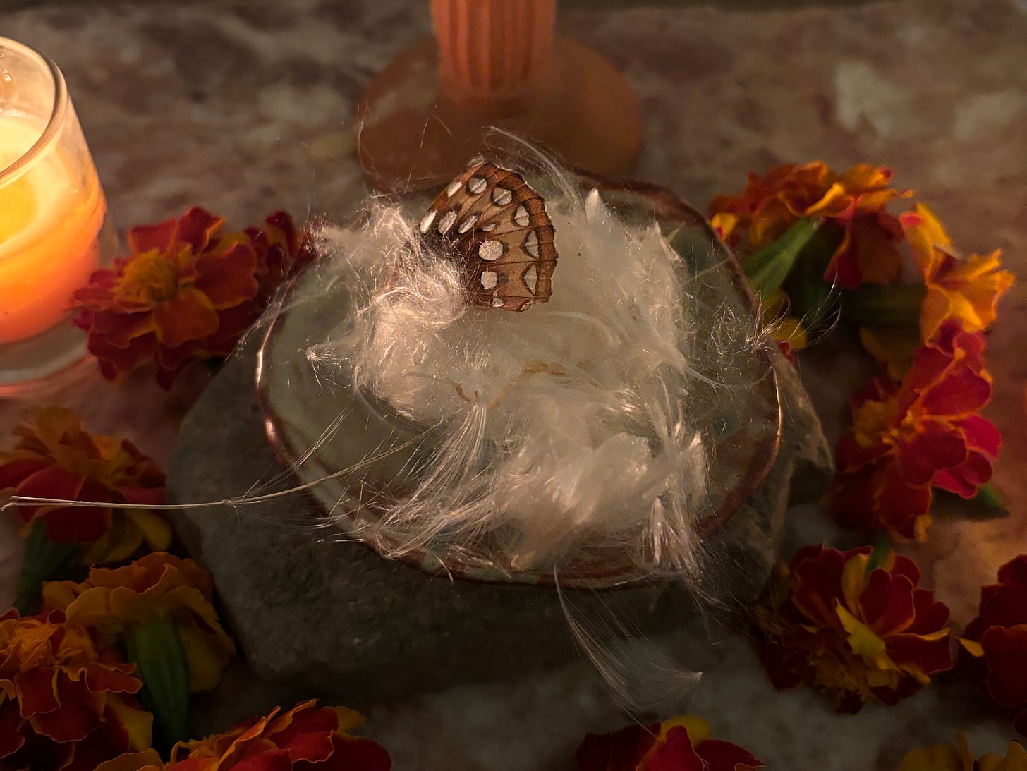 a single butterfly wing resting on a bed of silky milkweed seeds, surrounded by marigold flowers and a candle.