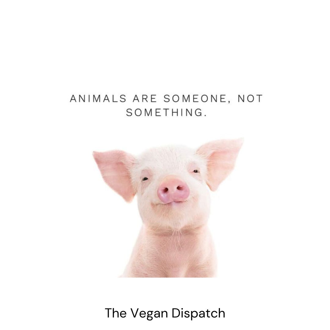 Animals are sentient beings with emotions, intelligence, and social bonds, deserving of respect and compassion. Recognizing them as "someones" emphasizes their intrinsic value and our moral duty to protect their well-being.