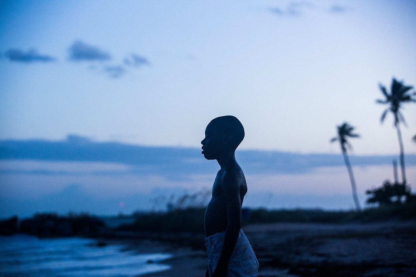 Moonlight' Review: Good, But Not Quite Great | Arts | The Harvard Crimson