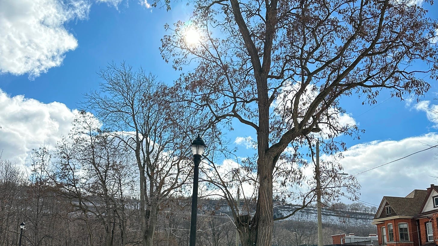 Sunny skies above Carter Park in the Stinson neighbourhood during the annual Hot Chocolate in Carter Park event that was held on February 17, 2024