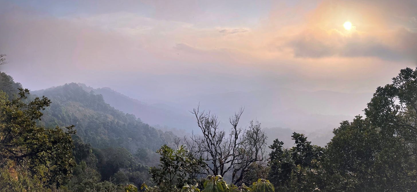 A view of a foggy, tropical valley at sunset