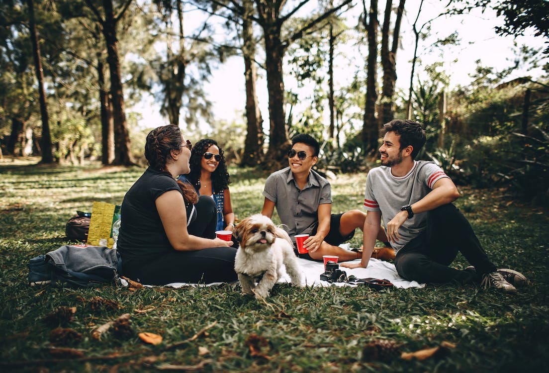 Free Group of People Sitting on White Mat on Grass Field Stock Photo