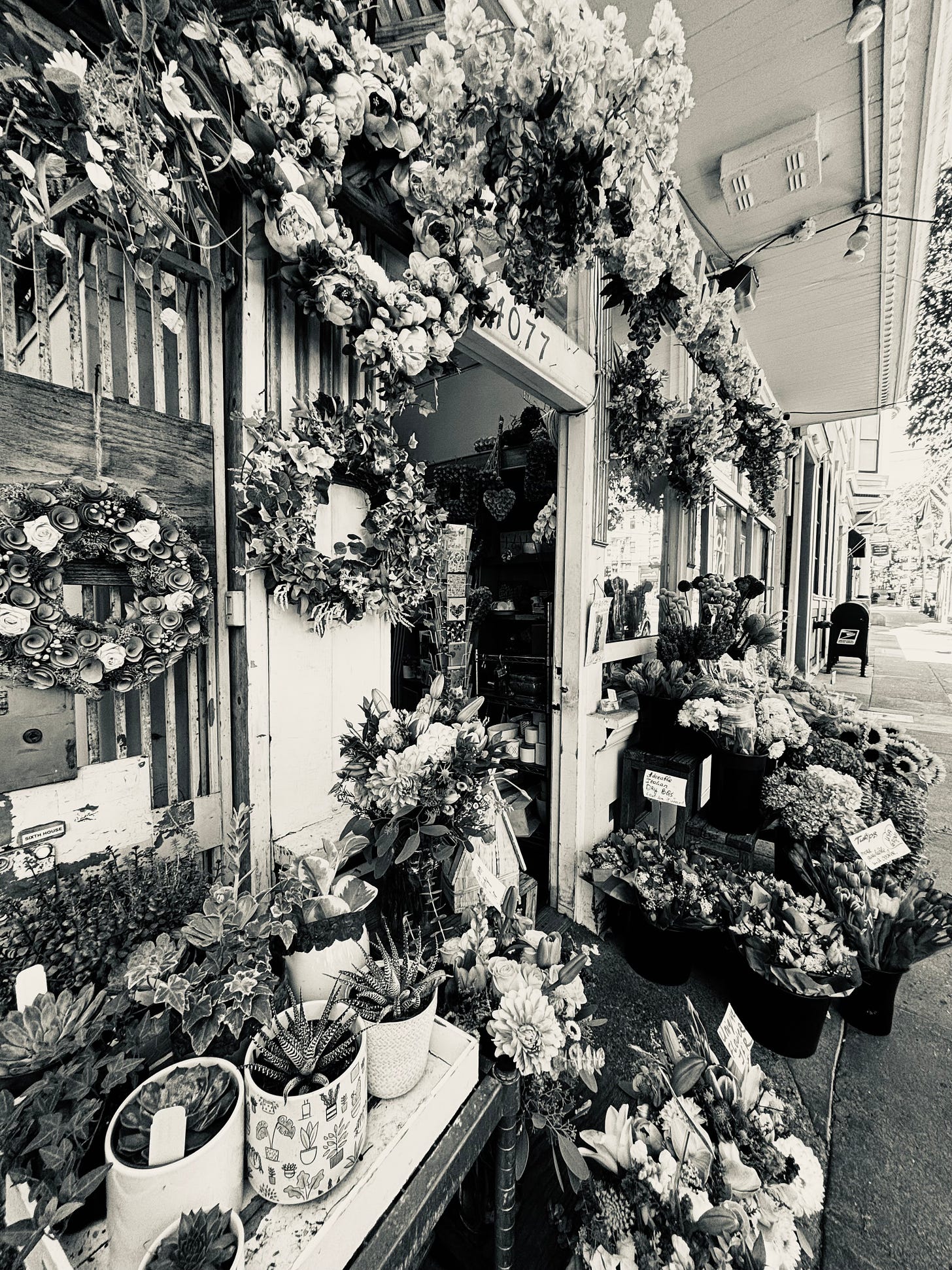 Flowers outside a store