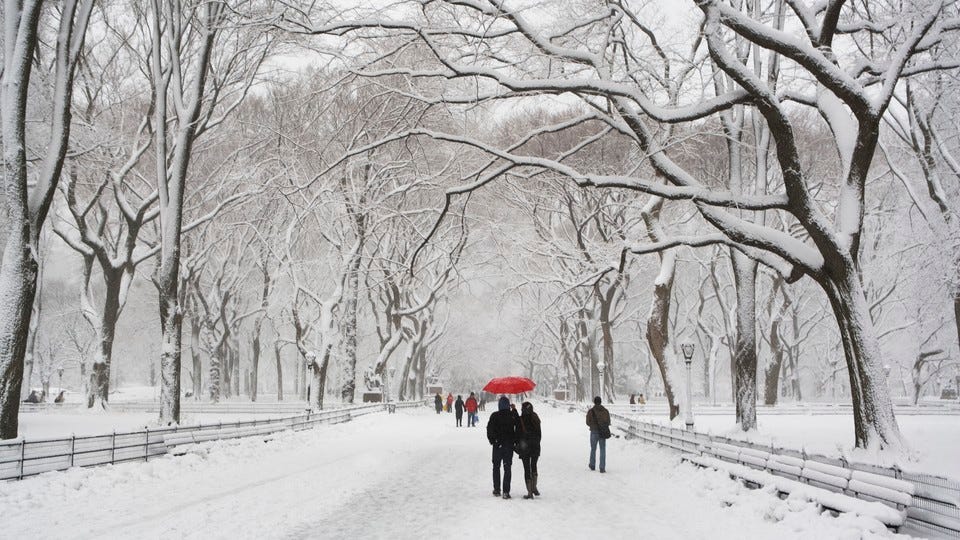 Two people under a red umbrella walk in a snowy Central Park