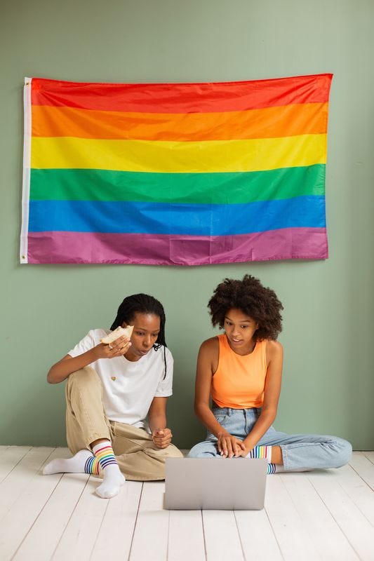 Two people sitting on the floor discussing something on a laptop. A rainbow flag is above them on the wall.