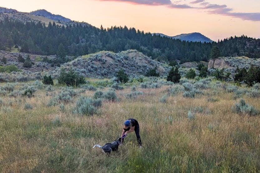 Scout the blue heeler and Haley the young woman play tug in a tall grassy field with Montana's rolling hills in the background