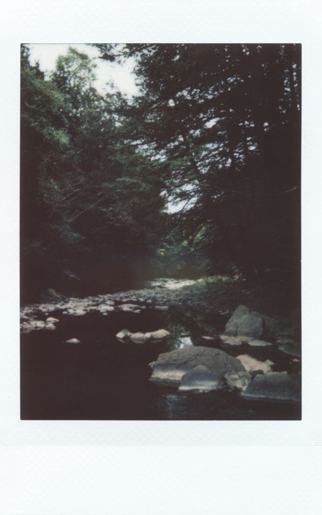 The creek