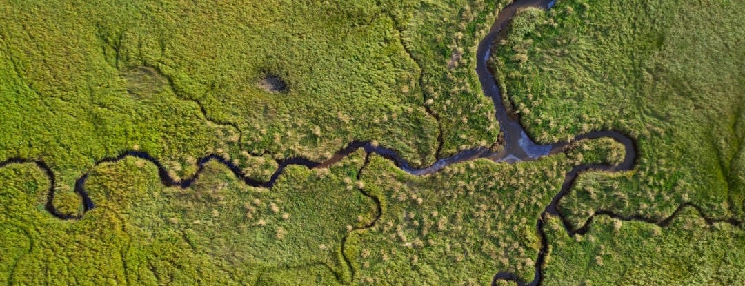 a river running through a lush green field