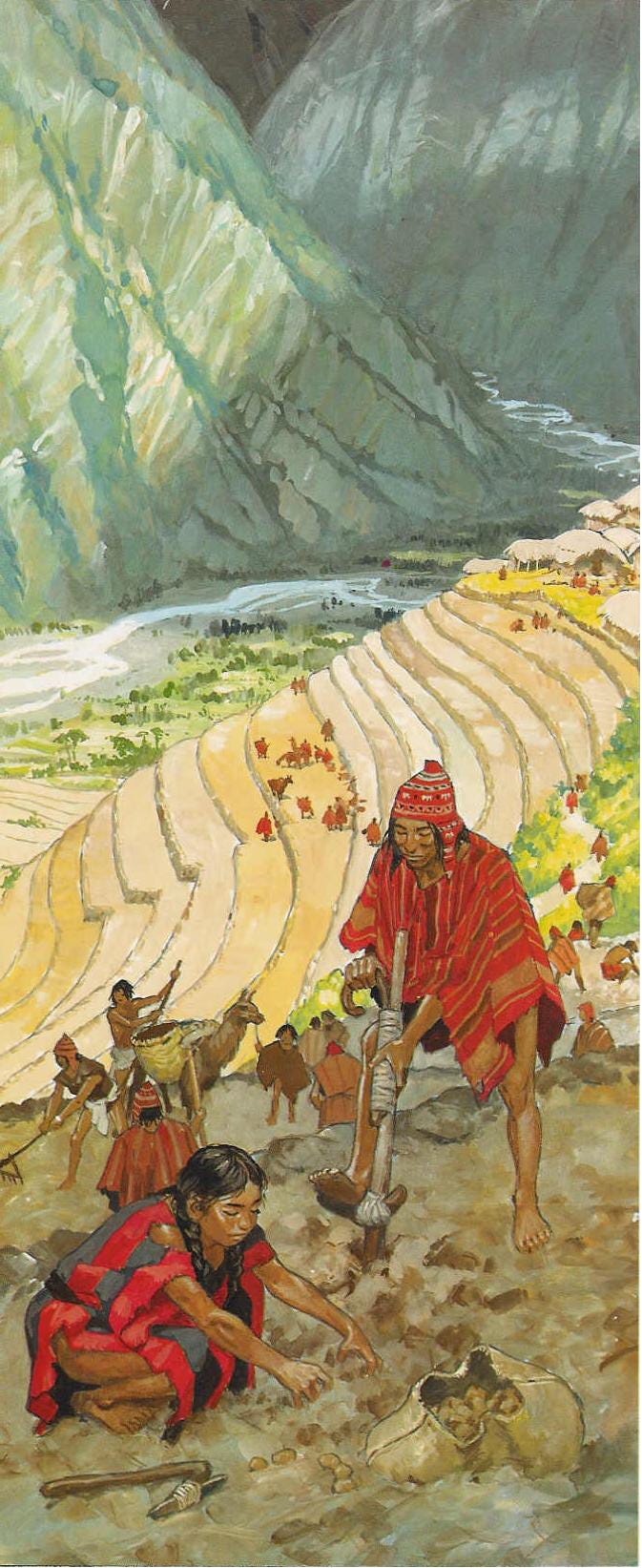 Inca Empire | Map and Timeline