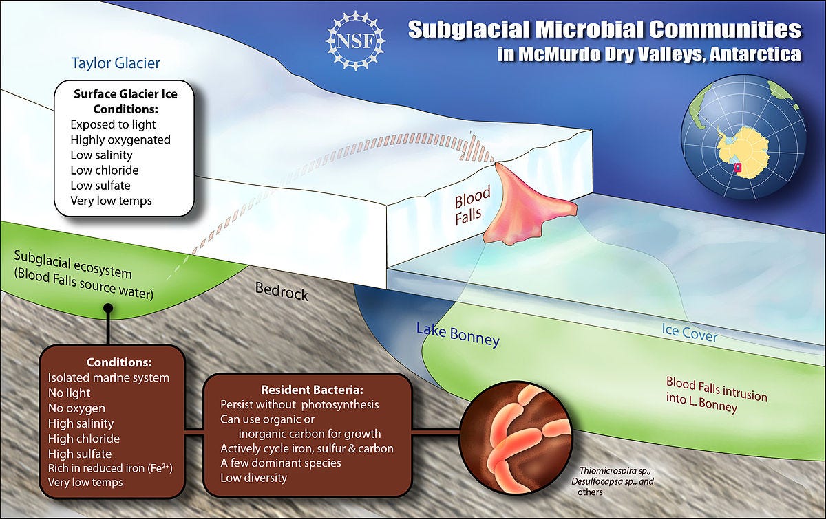 Subglacial Microbial Communities in McMurdo Dry Valleys, Antarctica