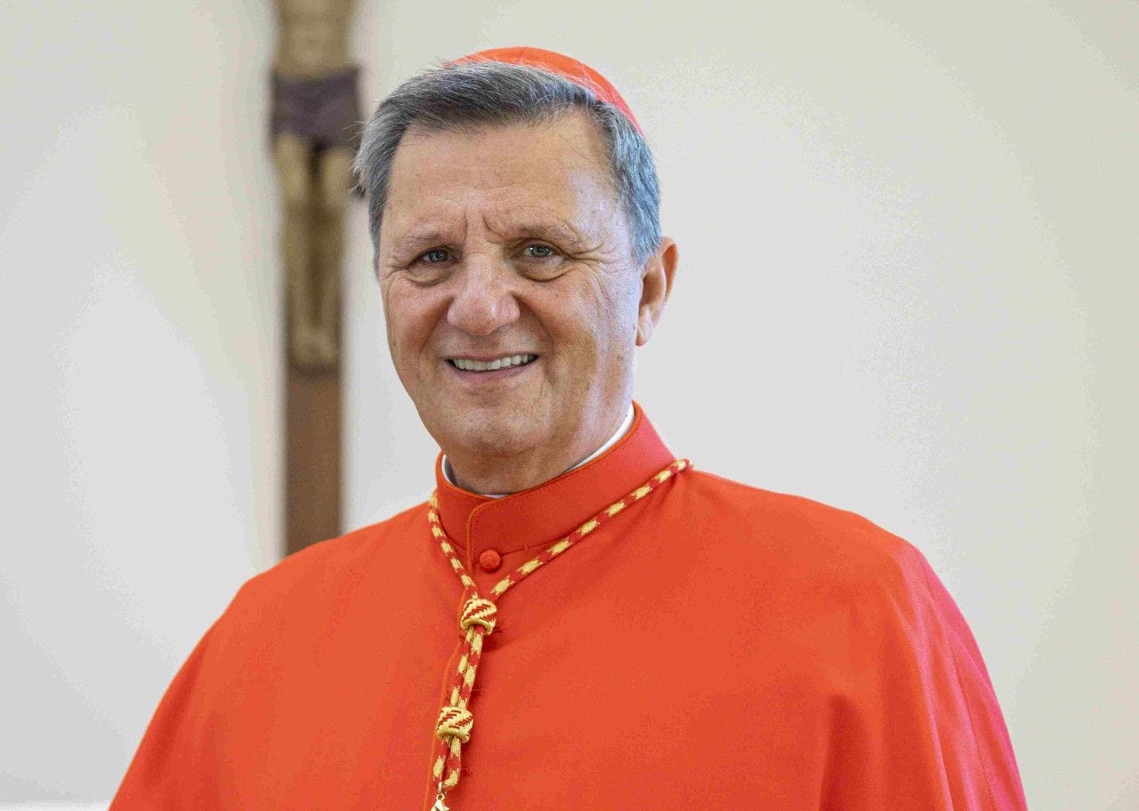 The rise of Cardinal Grech