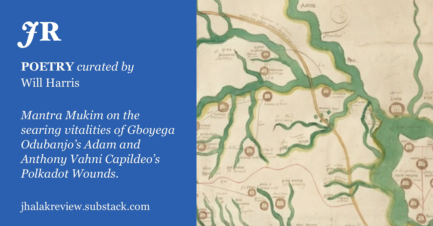 a social media graphic of a river map alongside text that reads: Mantra Mukim on the searing vitalities of Gboyega Odubanjo's Adam and Anthony Vahni Capildeo's Polkadot Wounds.