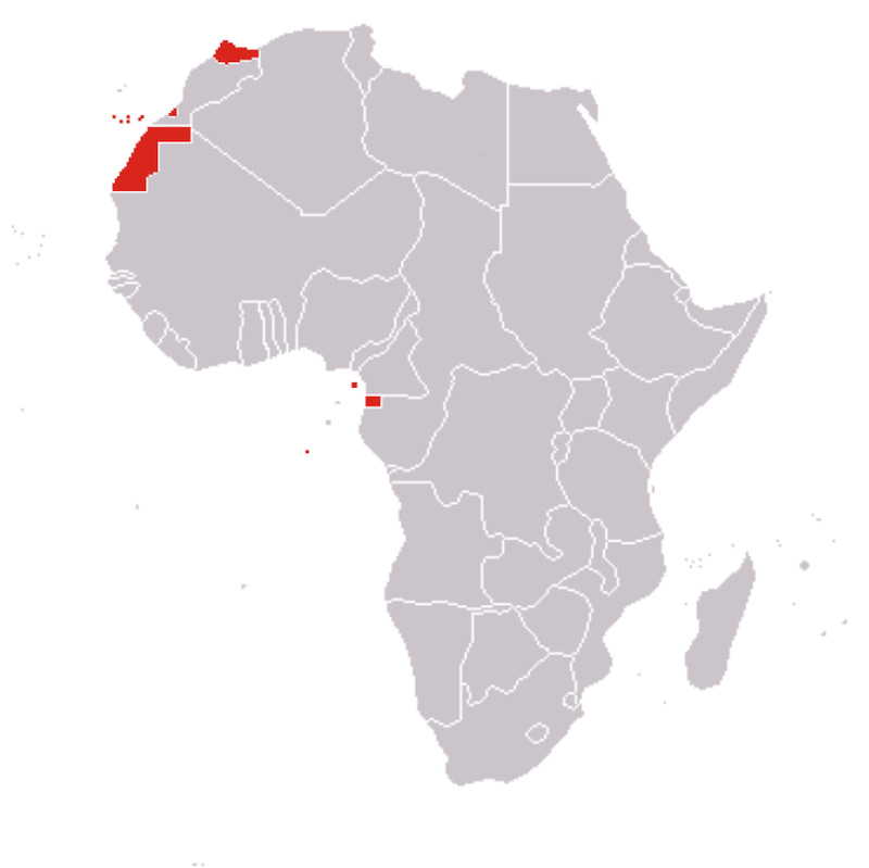 Spanish Africa - Wikipedia