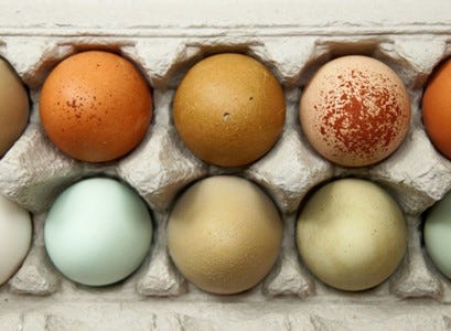 color of eggs 