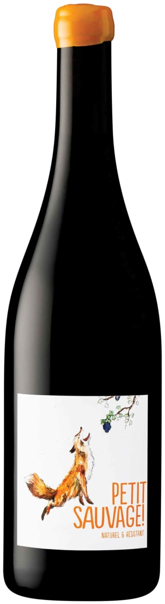 Pierre & Antonin Petit Sauvage Rouge 2022 | Wine.com