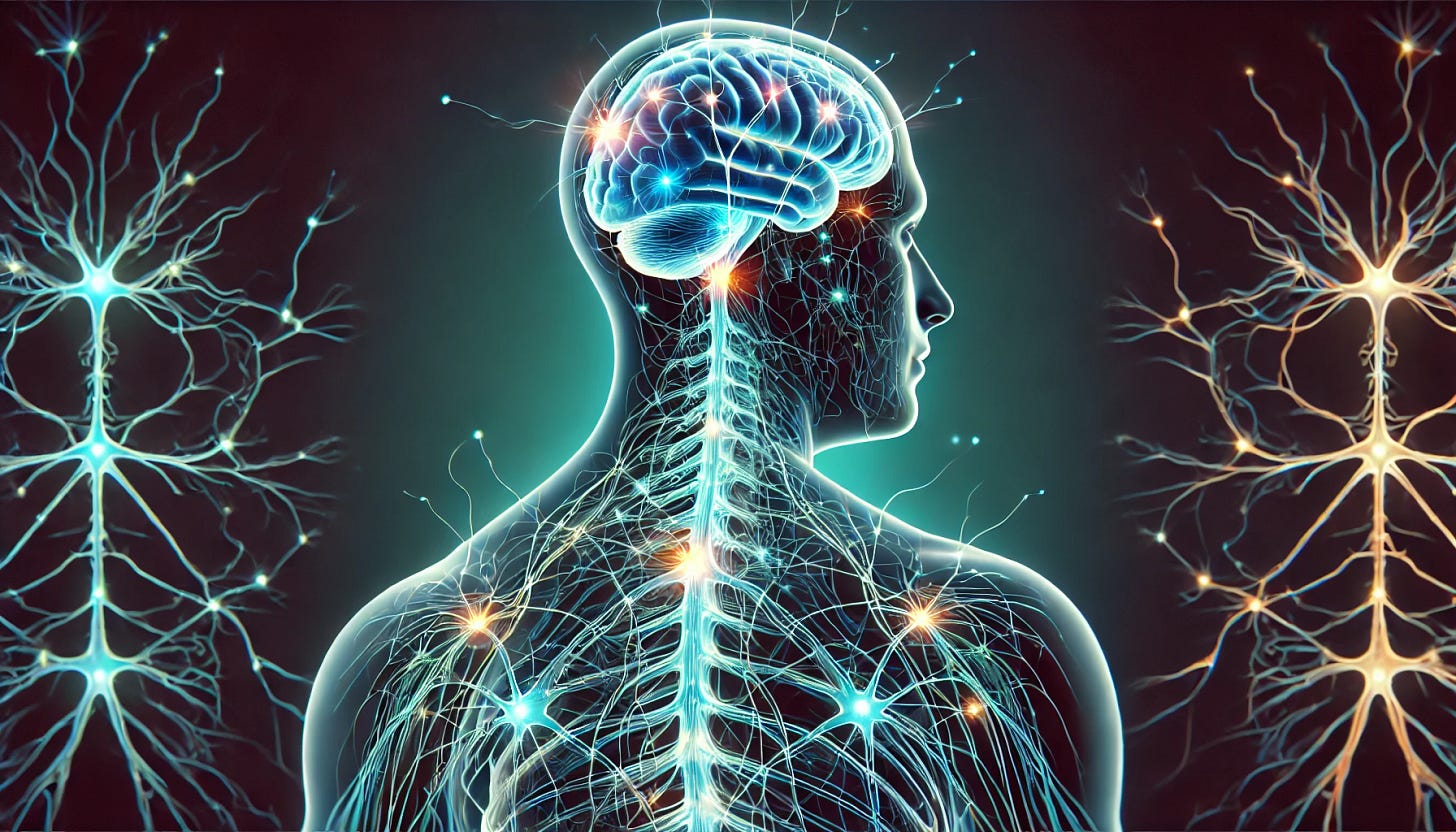 Medical illustration showing the human nervous system, featuring a translucent profile of a human head and upper torso with glowing blue brain and spinal cord. Neural networks are depicted with illuminated connections, and detailed neurons are shown on either side with branching dendrites in blue and gold colors against a dark background.