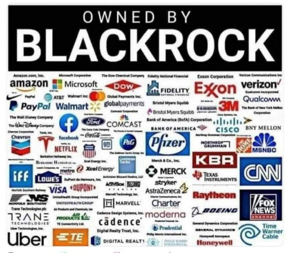BlackRock - The company that owns EVERYTHING