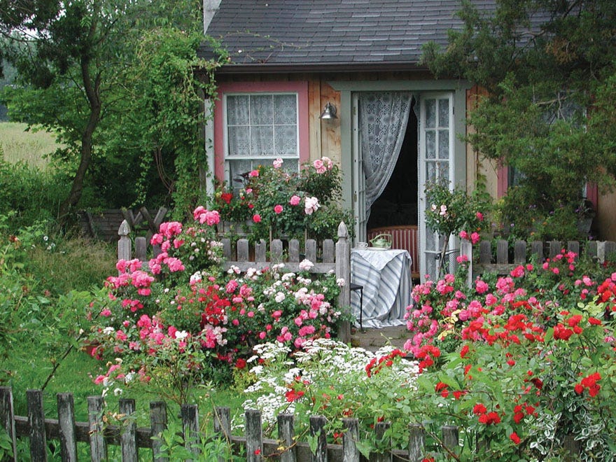 https://gatewaygardener.com/perennials/st-louis-cottage-garden