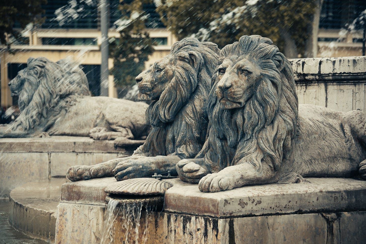 Lion statues on a water fountain