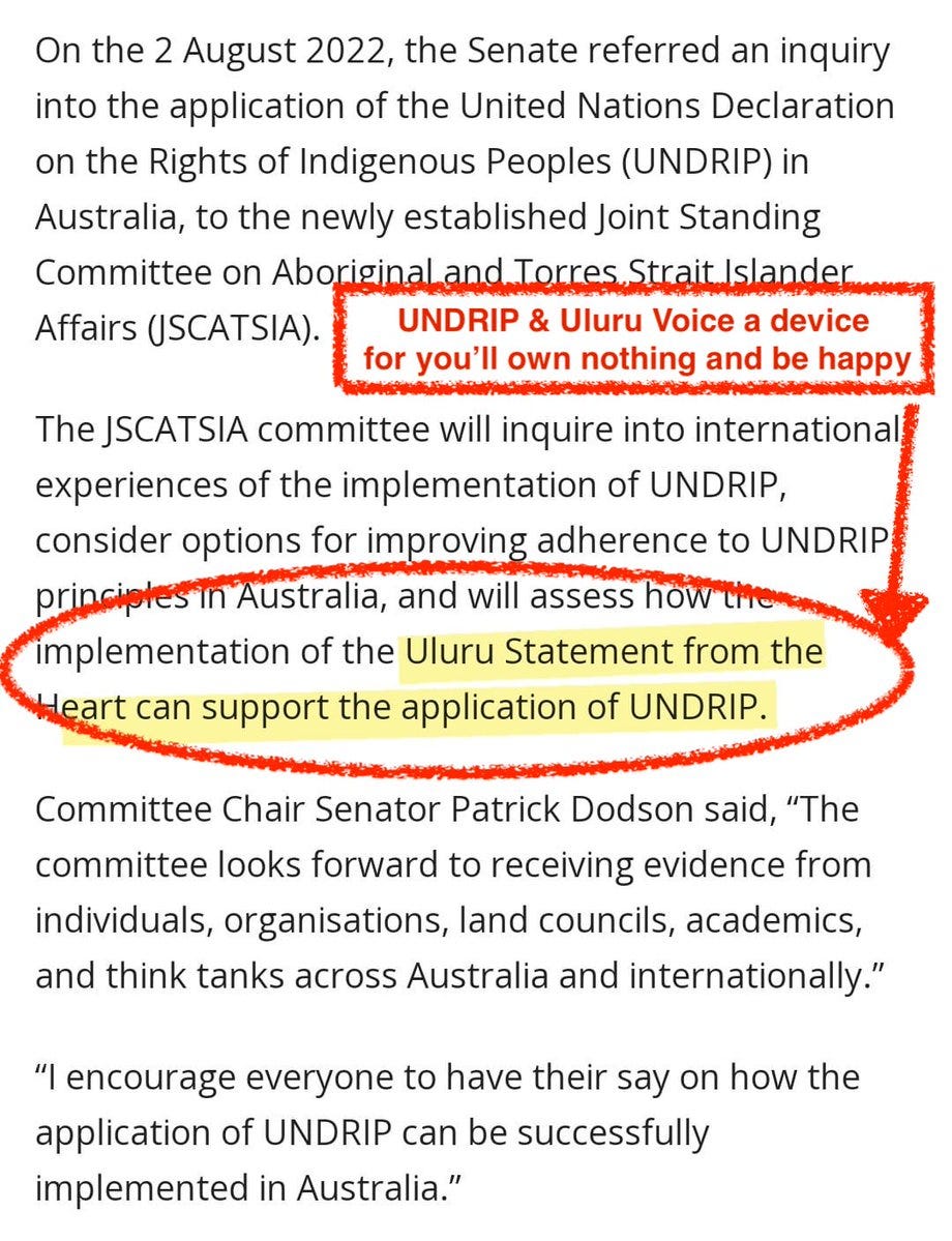 https://www.aph.gov.au/About_Parliament/House_of_Representatives/About_the_House_News/Media_Releases/United_Nations_Declaration_on_the_Rights_of_Indigenous_Peoples?fbclid=IwAR1IAjx9gHiG39wLUNwqBntJLV5GdThKcwKK6QvegV37PFgbXIu_jHwDOTM