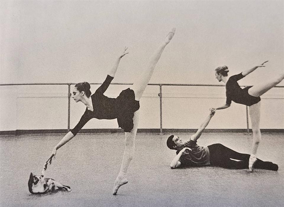 black and white photo of a cat in a ballet studio interacting with a ballerina