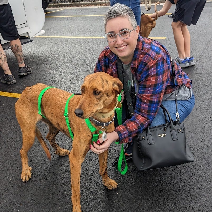 A woman with gray hair and glasses kneels beside a brindle-colored dog in a green harness