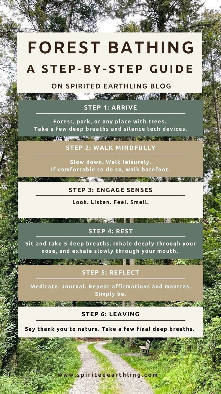 Pin by Andrea Montano on Wellness Retreat in 2024 | Forest bathing, Nature meditation, Nature