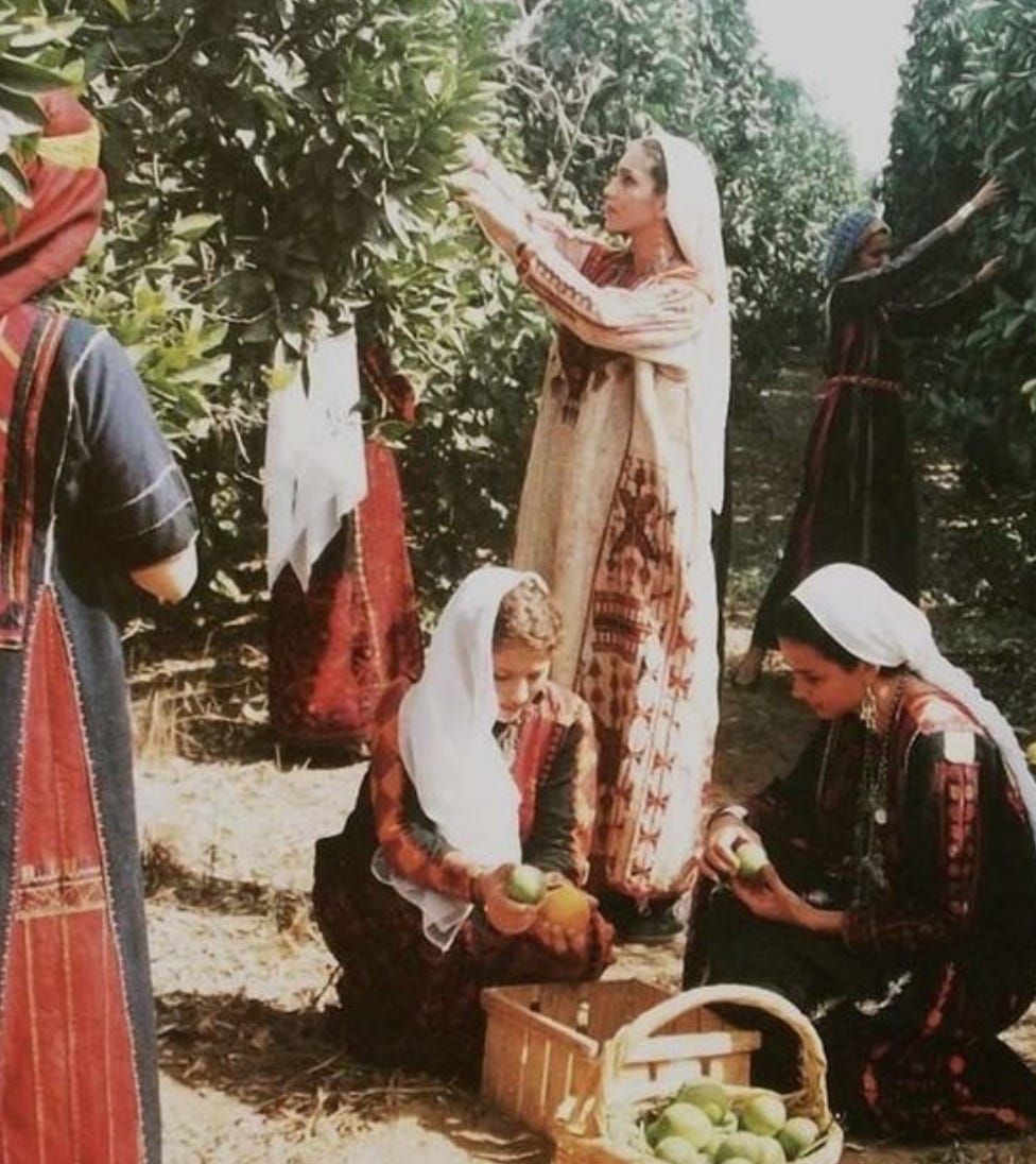 Photo of Palestinian women in traditional garments picking fruits in an orchard together, from Pinterest