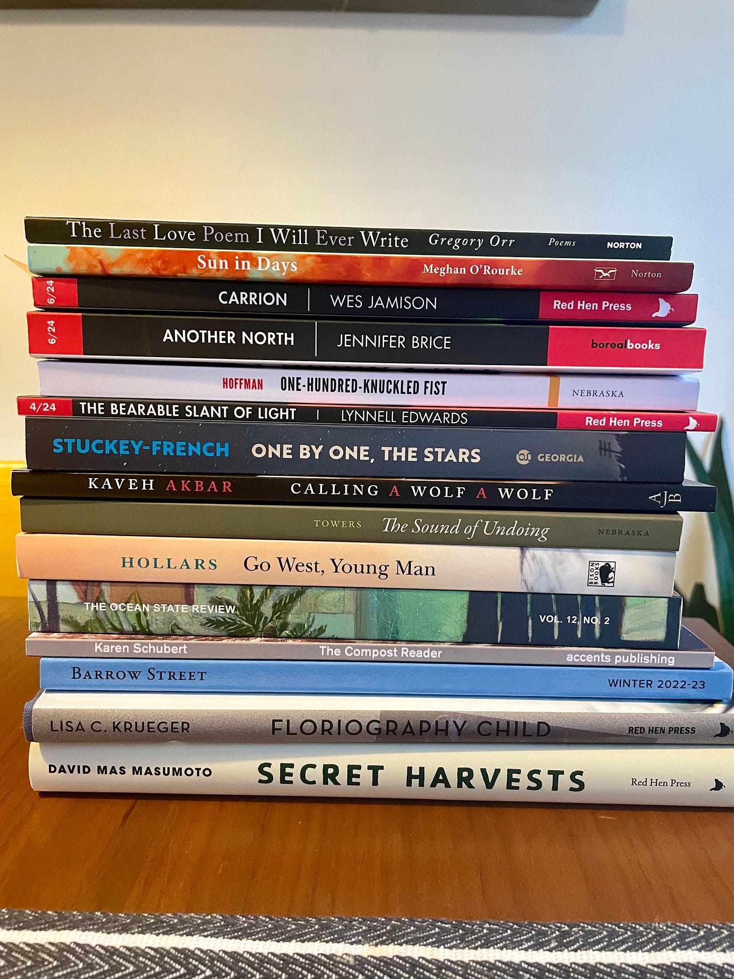 A stack of 15 books with the spines showing. The books include Gregory Orr's The Last Love Poem I Will Ever Write and Kaveh Akbar's Calling a Wolf a Wolf.