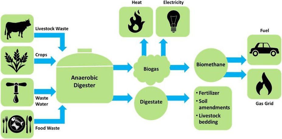 Fact Sheet | Biogas: Converting Waste to Energy | White Papers | EESI