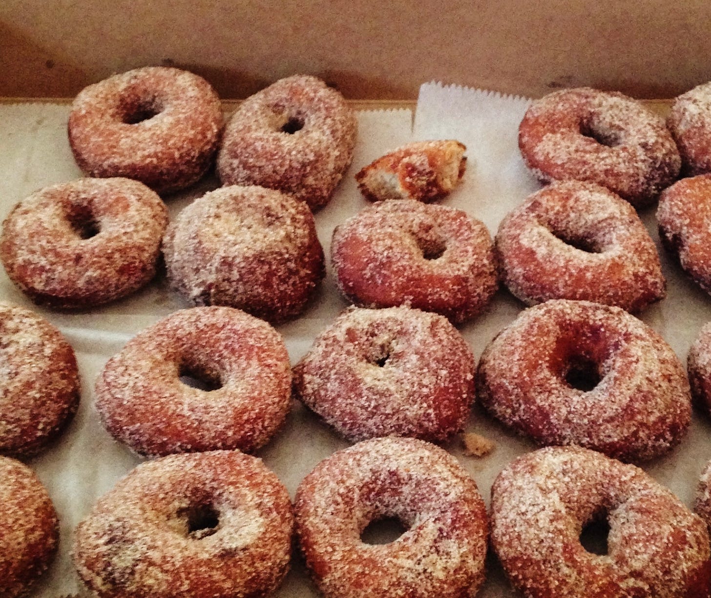 dozen mini apple cider donuts in a box