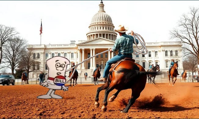 A Bill gets lassooed by a cowboy infront of the Capital, which looks like a cross between the White House, the Supreme Court and the Capital..