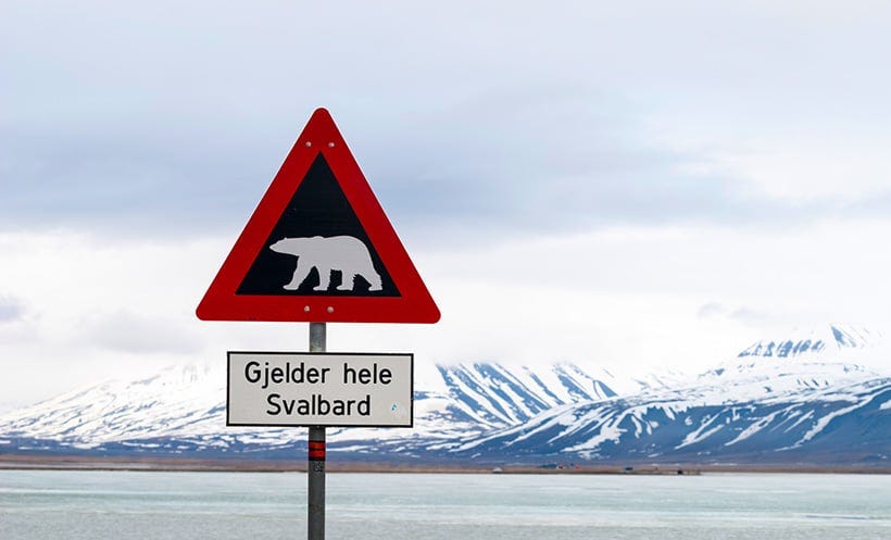 Longyearbyen 'In Mourning' After Polar Bear Attack - Life in ...