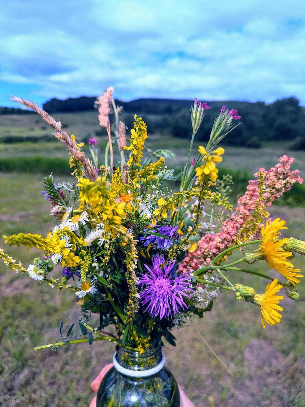 Bouquet of wildflowers against a blue sky