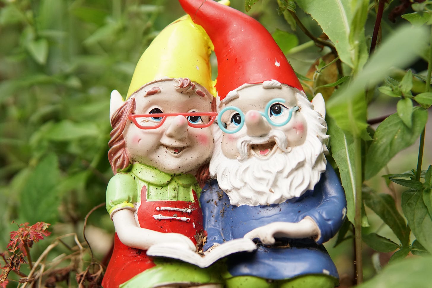 Photo of two garden gnomes wearing glasses reading a book together happily